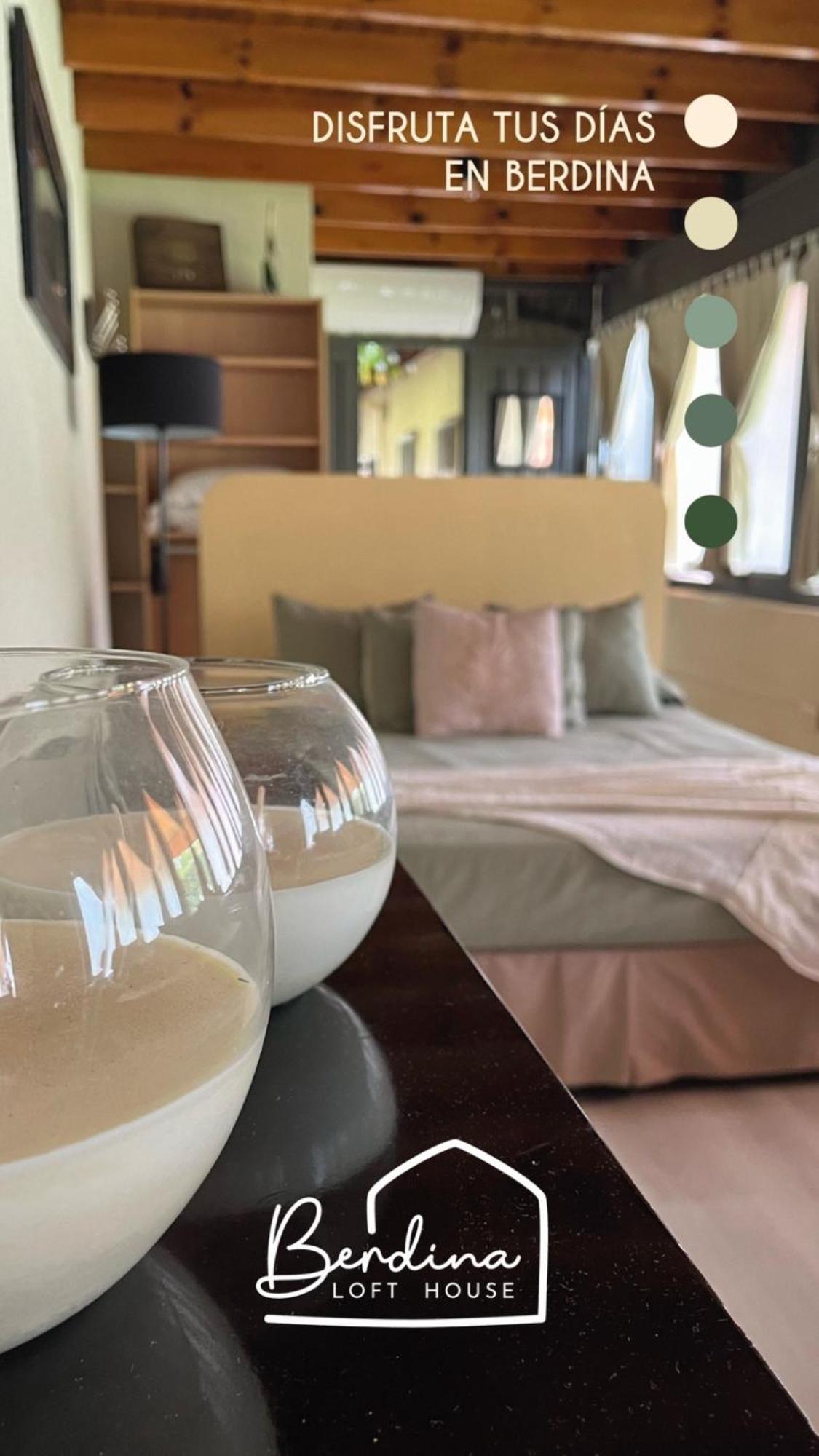 Berdina Casa Estilo Loft Con Pileta Privada En El Corazon De
